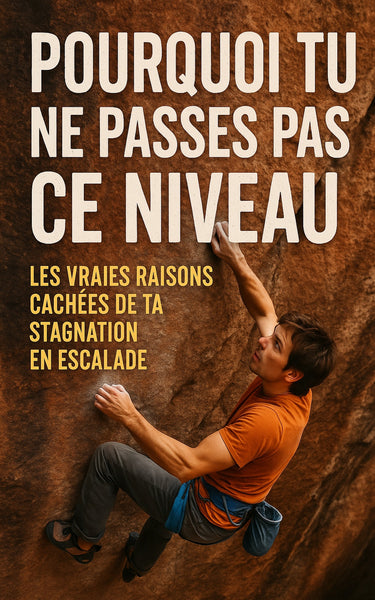 Pourquoi tu ne passes pas ce niveau